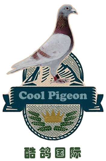 CoolPigeon Auctions